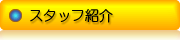 スタッフ紹介